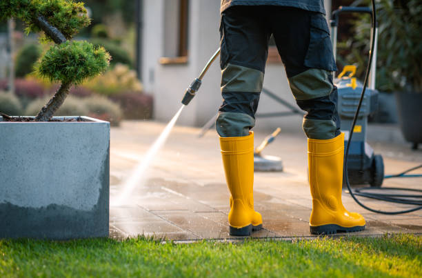 Best Pressure Washing Company Near Me  in Oronogo, MO